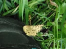 DSCF1029.webp