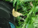 DSCF1031.webp