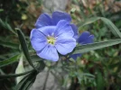 DSCF1048.webp