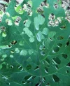 DSCF0948 (2).webp