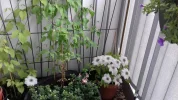 20180505_160522_resized.webp