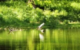 DSCF7460 (3).webp