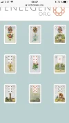29712188-55FF-48C4-B518-9301DE97BCFD.webp