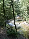 003.webp