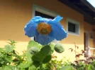 20180509_102255.webp