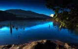 1 see ...lils1z5n9ne.webp