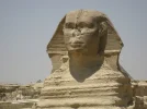 1157502172.webp