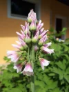20180509_102631.webp