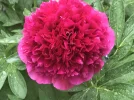 4E295E45-C940-4948-A4F4-7C7F62EC5D38.webp
