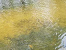 DSCF7319 (3).webp