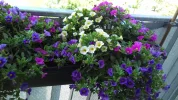 20180510_140312.webp