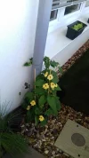20180510_120221.webp