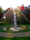 SpringZauberbrunnen.webp