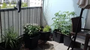 20180510_144201.webp