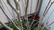 20180510_192937.webp