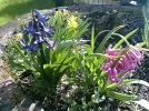 Frühblumen 1.webp