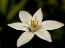20160430_122647.webp