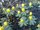 Leben.webp