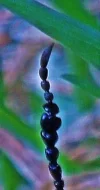 DSCF9532 (7).webp