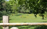 DSCF7709 (3).webp