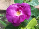 20180514_120636.webp