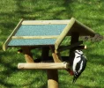 Specht 4.webp