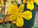 20180514_120558.webp