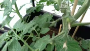 20180515_183712_resized.webp