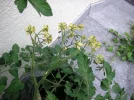 PICT0028.webp