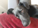20180430_180153.webp