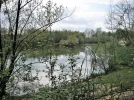 PICT0036.webp