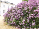 DSCF7291 (2).webp
