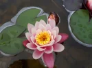 20180516_120759.webp