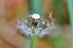 K800_DSC_4921.webp
