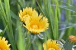 K800_DSC_4840.webp