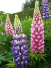 20180516_120844.webp