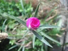 DSCF1114.webp