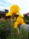 20180516_120908.webp