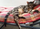 20180518_124015.webp