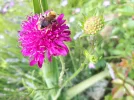 20180518_162757.webp