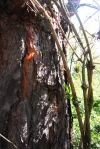 DSCF1194 (4).webp