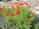 20180518_163022-1152x864.webp