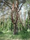 DSCF1145.webp