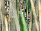 DSCF7622 (2).webp