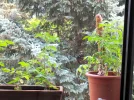 IMG_20180524_113640.webp