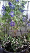 20180524_170817.webp