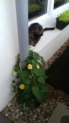 20180524_171048.webp