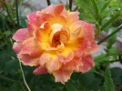 20180518_162242.webp