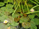 P9010008 (2).webp