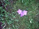 PICT0003 (1).webp